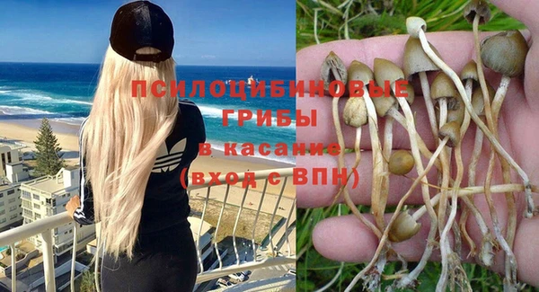 герыч Арсеньев