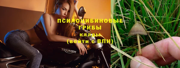 метадон Алексин