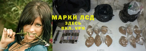 spice Армянск